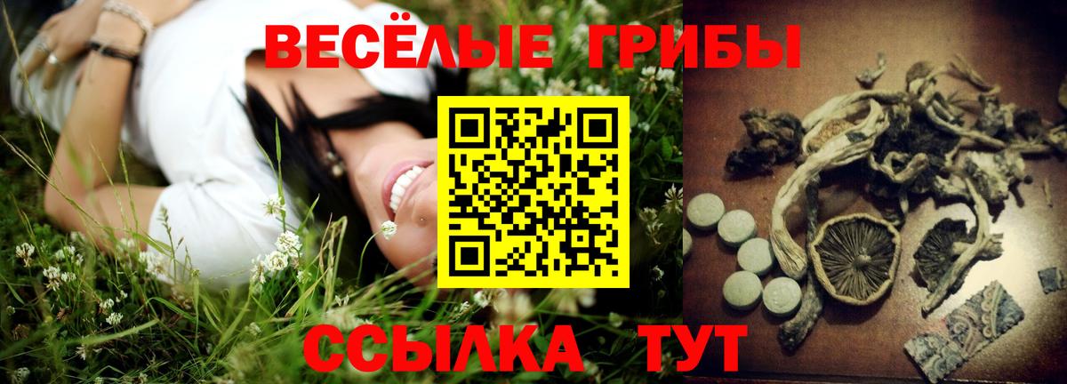 Галлюциногенные грибы Psilocybine cubensis Шебекино